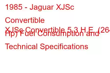 1985 - Jaguar XJSc Convertible
XJSc Convertible 5.3 H.E. (264 Hp) Fuel Consumption and Technical Specifications