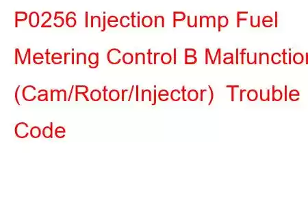 P0256 Injection Pump Fuel Metering Control B Malfunction (Cam/Rotor/Injector) Trouble Code