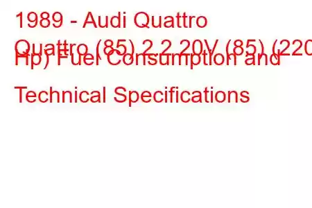 1989 - Audi Quattro
Quattro (85) 2.2 20V (85) (220 Hp) Fuel Consumption and Technical Specifications