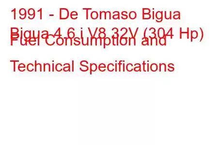 1991 - De Tomaso Bigua
Bigua 4.6 i V8 32V (304 Hp) Fuel Consumption and Technical Specifications