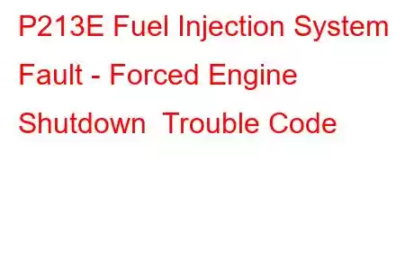  P213E Fuel Injection System Fault - Forced Engine Shutdown Trouble Code