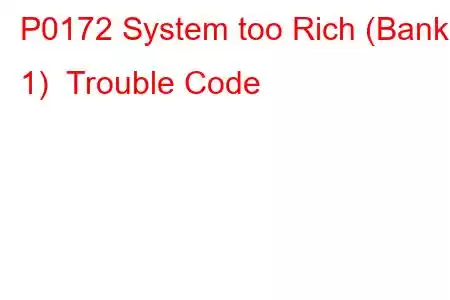 P0172 System too Rich (Bank 1) Trouble Code