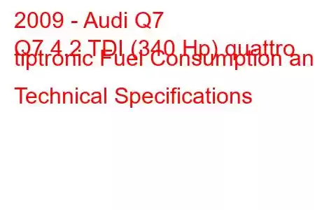 2009 - Audi Q7
Q7 4.2 TDI (340 Hp) quattro tiptronic Fuel Consumption and Technical Specifications