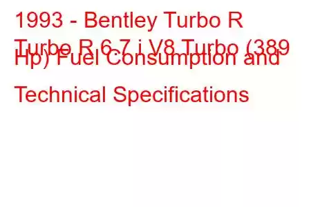 1993 - Bentley Turbo R
Turbo R 6.7 i V8 Turbo (389 Hp) Fuel Consumption and Technical Specifications