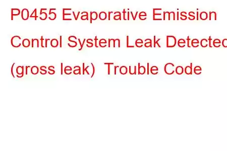 P0455 Evaporative Emission Control System Leak Detected (gross leak) Trouble Code