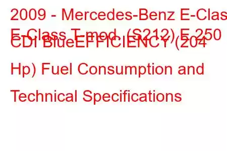 2009 - Mercedes-Benz E-Class
E-Class T-mod. (S212) E 250 CDI BlueEFFICIENCY (204 Hp) Fuel Consumption and Technical Specifications