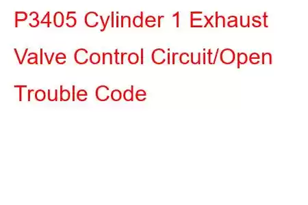 P3405 Cylinder 1 Exhaust Valve Control Circuit/Open Trouble Code