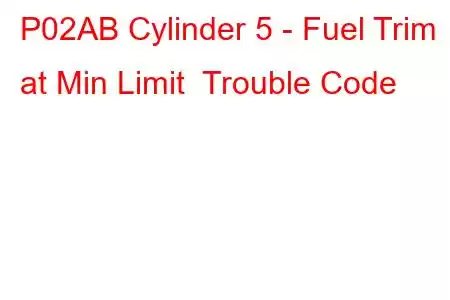 P02AB Cylinder 5 - Fuel Trim at Min Limit Trouble Code