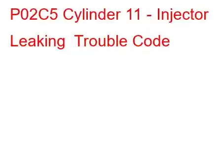 P02C5 Cylinder 11 - Injector Leaking Trouble Code