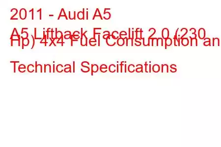 2011 - Audi A5
A5 Liftback Facelift 2.0 (230 Hp) 4x4 Fuel Consumption and Technical Specifications