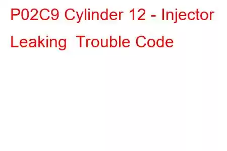 P02C9 Cylinder 12 - Injector Leaking Trouble Code