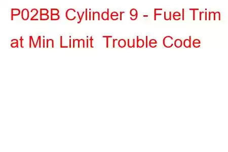 P02BB Cylinder 9 - Fuel Trim at Min Limit Trouble Code