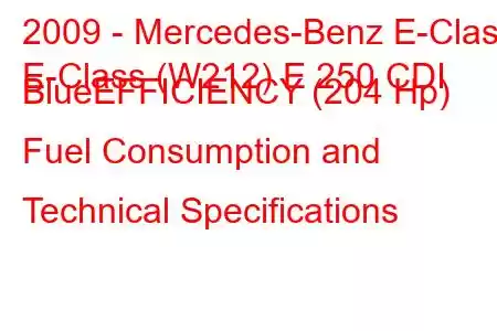 2009 - Mercedes-Benz E-Class
E-Class (W212) E 250 CDI BlueEFFICIENCY (204 Hp) Fuel Consumption and Technical Specifications