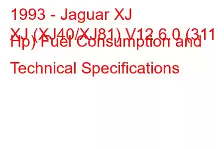 1993 - Jaguar XJ
XJ (XJ40/XJ81) V12 6.0 (311 Hp) Fuel Consumption and Technical Specifications