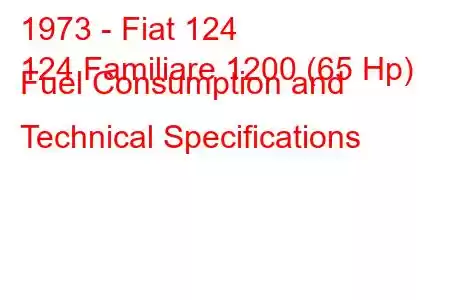 1973 - Fiat 124
124 Familiare 1200 (65 Hp) Fuel Consumption and Technical Specifications