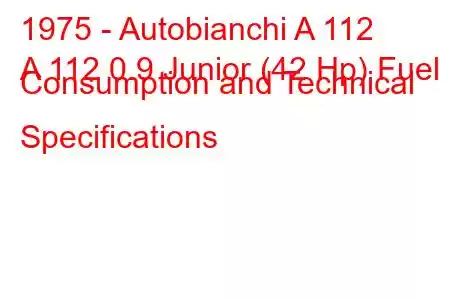 1975 - Autobianchi A 112
A 112 0.9 Junior (42 Hp) Fuel Consumption and Technical Specifications