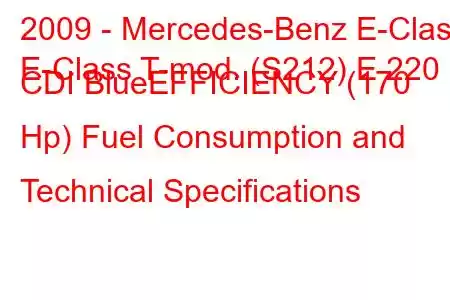 2009 - Mercedes-Benz E-Class
E-Class T-mod. (S212) E 220 CDI BlueEFFICIENCY (170 Hp) Fuel Consumption and Technical Specifications