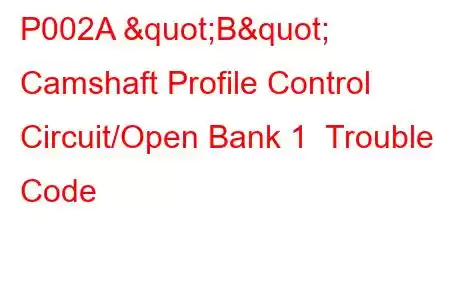 P002A "B" Camshaft Profile Control Circuit/Open Bank 1 Trouble Code