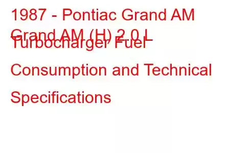 1987 - Pontiac Grand AM
Grand AM (H) 2.0 L Turbocharger Fuel Consumption and Technical Specifications