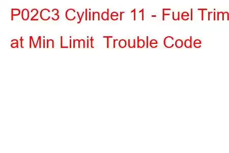 P02C3 Cylinder 11 - Fuel Trim at Min Limit Trouble Code