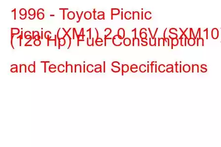 1996 - Toyota Picnic
Picnic (XM1) 2.0 16V (SXM10) (128 Hp) Fuel Consumption and Technical Specifications