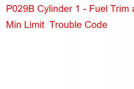 P029B Cylinder 1 - Fuel Trim at Min Limit Trouble Code