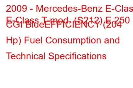 2009 - Mercedes-Benz E-Class
E-Class T-mod. (S212) E 250 CGI BlueEFFICIENCY (204 Hp) Fuel Consumption and Technical Specifications